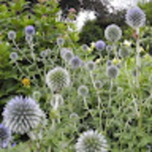 Meet your Posher, Kristin